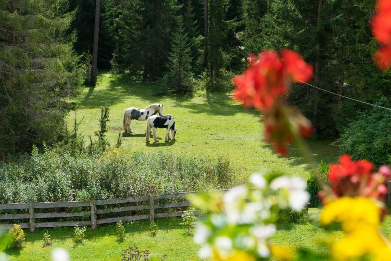 Ferienhaus Tannenblick Лойташ Екстериор снимка